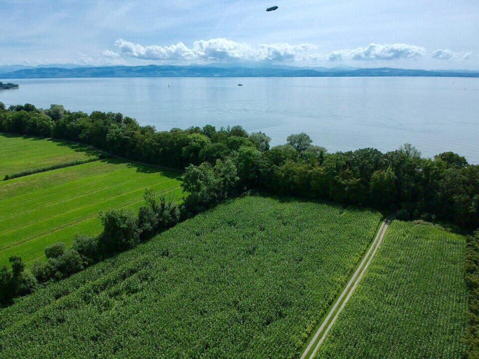 Wohlfuehlloft Seekretzer Mit Privatem Seezugang FDH Extérieur photo